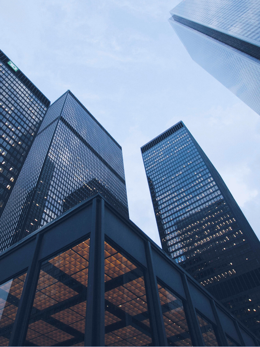 01. Large multinational enterprises