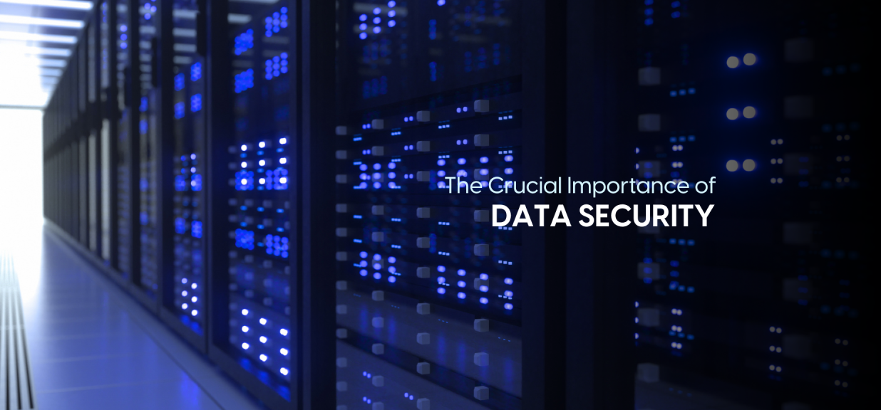 Secure Global Payroll Processing: Essential Data Security Measures