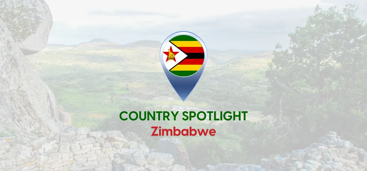 Thumbnail image for blog on payroll rules and regulations in Zimbabwe