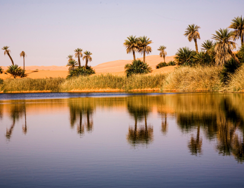Libya Global Payroll and Employer of record