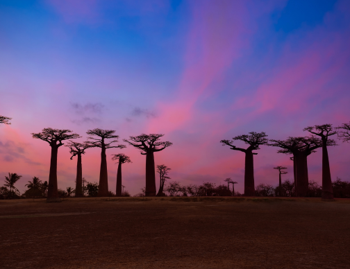 Madagascar Global Payroll and Employer of record