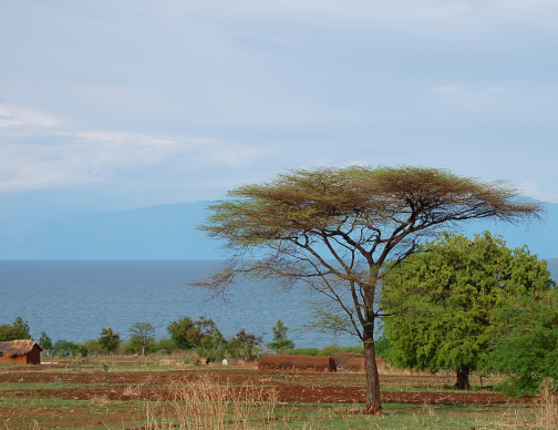 Malawi Global Payroll and Employer of record
