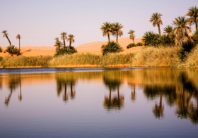 Libya Global Payroll and Employer of record