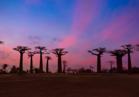 Madagascar Global Payroll and Employer of record