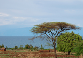 Malawi Global Payroll and Employer of record