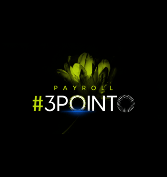 payroll 3.0