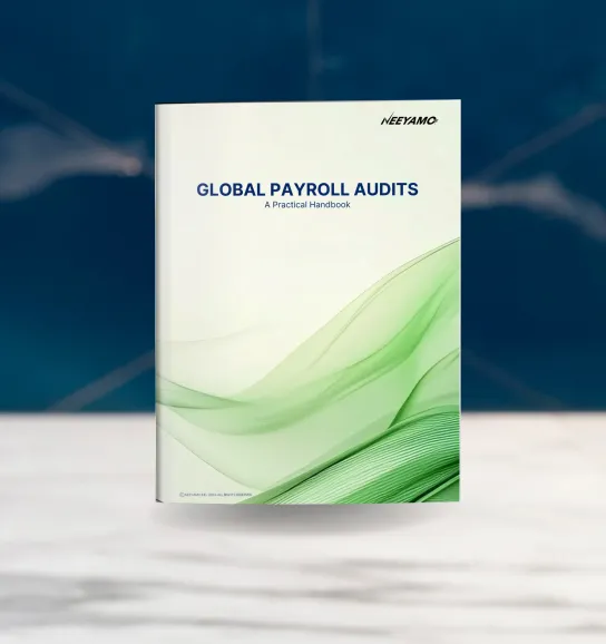 Thumbnail image for EBook on Global Payroll Audits