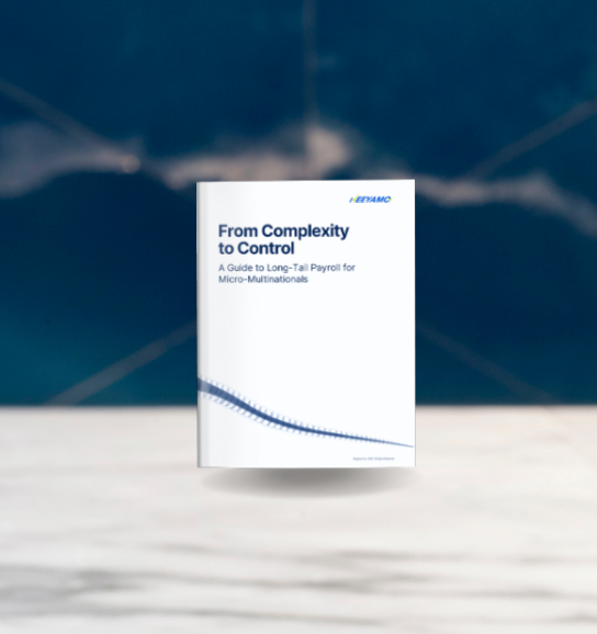 Thumbnail image for eBook on Long Tail Payroll