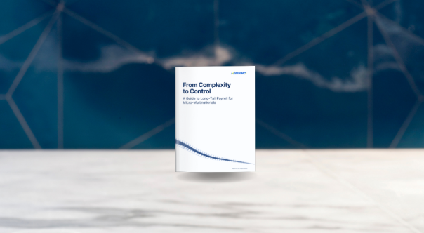 Thumbnail image for eBook on Long Tail Payroll