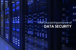 Secure Global Payroll Processing: Essential Data Security Measures