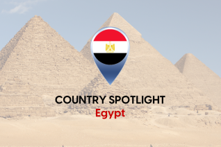 Employer of Record in Egypt