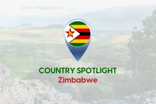 Thumbnail image for blog on payroll rules and regulations in Zimbabwe