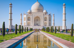 India Global Payroll and Employer of record