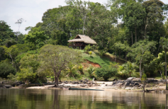 Suriname Global Payroll and Employer of record