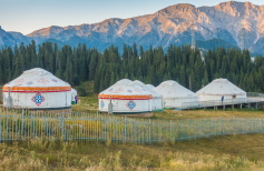 Mongolia Global Payroll and Employer of record