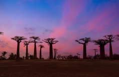 Madagascar Global Payroll and Employer of record