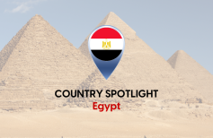 Employer of Record in Egypt